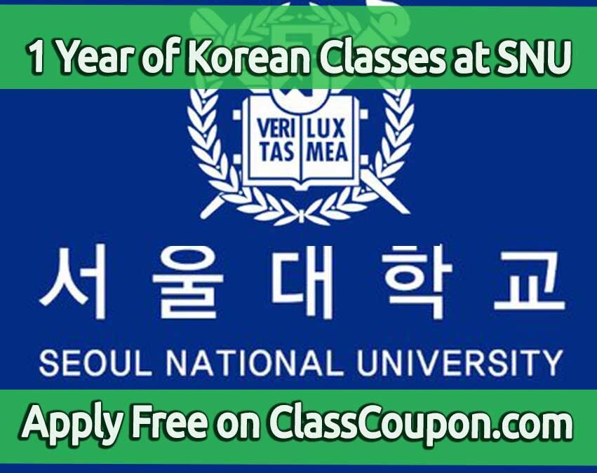 Seoul National University's Korean Language Education Center (KLEC) offers a comprehensive one-year program designed for those who wish to master the Korean language while fully immersing themselves in the culture.